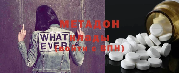 индика Няндома