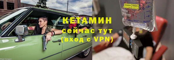 индика Няндома