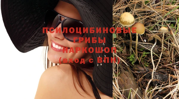 индика Няндома