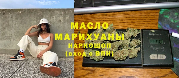 индика Няндома