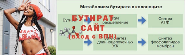 индика Няндома
