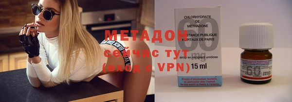 индика Няндома