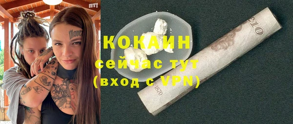 индика Няндома