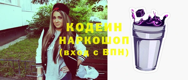 индика Няндома