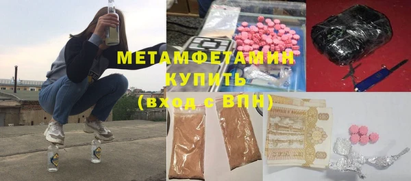индика Няндома