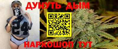 скорость Дубна