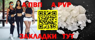 спиды Донской