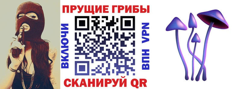 blacksprut ONION Заволжье Галлюциногенные грибы GOLDEN TEACHER