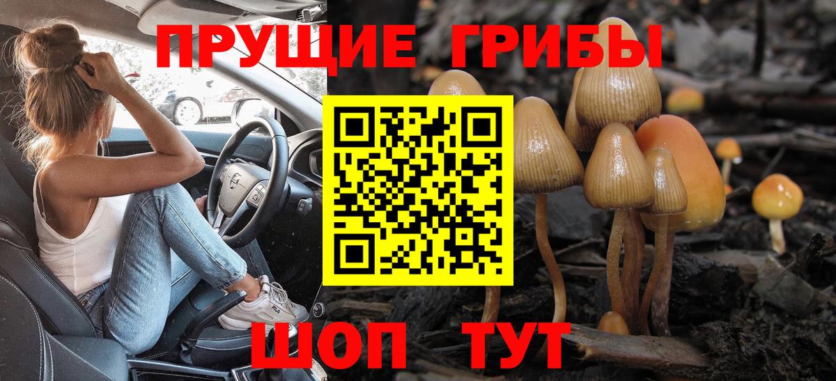 Галлюциногенные грибы Psilocybine cubensis  Галлюциногенные грибы прущие грибы  как найти закладки  Заволжье 