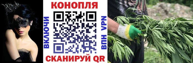 ссылка на мегу ССЫЛКА Заволжье Канабис OG Kush цены