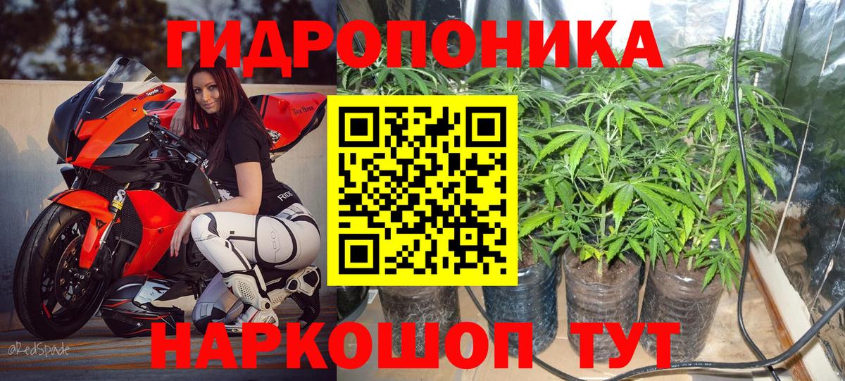 Бошки Шишки сатива  Вход с VPN  Бошки Шишки Bruce Banner  Заволжье  Бошки марихуана тримм 